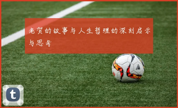 老贺的故事与人生哲理的深刻启示与思考
